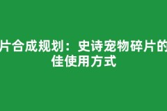 碎片合成规划：史诗宠物碎片的最佳使用方式
