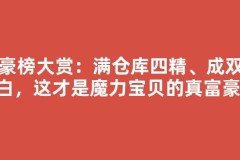 富豪榜大赏：满仓库四精、成双纯白，这才是魔力宝贝的真富豪！