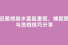 怀旧服绝版水蓝鼠重现，捕捉路线与洗档技巧分享