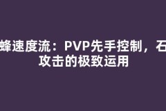 黄蜂速度流：PVP先手控制，石化攻击的极致运用
