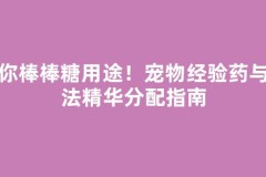 迷你棒棒糖用途！宠物经验药与魔法精华分配指南