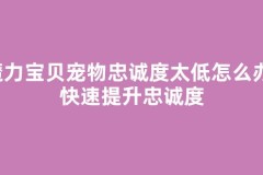 魔力宝贝宠物忠诚度太低怎么办，快速提升忠诚度