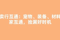 拍卖行互通：宠物、装备、材料玩家互通，捡漏好时机
