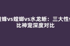 黄蜂vs螳螂vs水龙蜥：三大性价比神宠深度对比