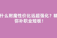 为什么附魔性价比远超强化？精准弥补职业短板！