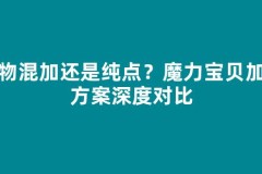 宠物混加还是纯点？魔力宝贝加点方案深度对比