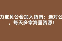魔力宝贝公会加入指南：选对公会，每天多拿海量资源！