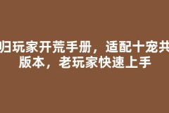 回归玩家开荒手册，适配十宠共战版本，老玩家快速上手
