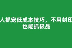 新人抓宠低成本技巧，不用封印卡也能抓极品
