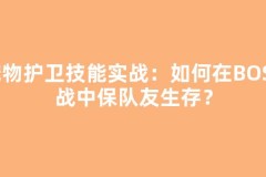 宠物护卫技能实战：如何在BOSS战中保队友生存？