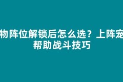 宠物阵位解锁后怎么选？上阵宠物帮助战斗技巧