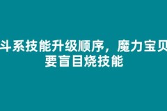 战斗系技能升级顺序，魔力宝贝不要盲目烧技能