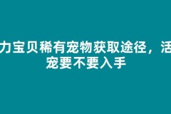魔力宝贝稀有宠物获取途径，活动宠要不要入手