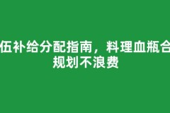 队伍补给分配指南，料理血瓶合理规划不浪费