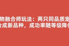宠物融合师玩法：两只同品质宠物合成新品种，成功率随等级降低