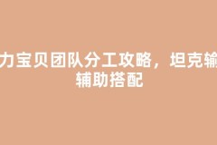 魔力宝贝团队分工攻略，坦克输出辅助搭配