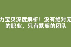 魔力宝贝深度解析！没有绝对无敌的职业，只有默契的团队