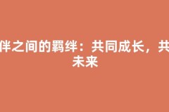 伙伴之间的羁绊：共同成长，共赢未来