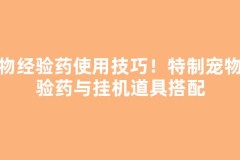 宠物经验药使用技巧！特制宠物经验药与挂机道具搭配