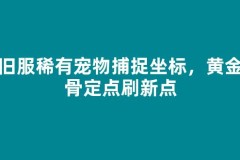 怀旧服稀有宠物捕捉坐标，黄金龙骨定点刷新点