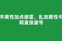 新手属性加点避雷，乱加属性中后期直接废号