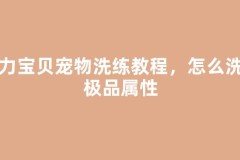 魔力宝贝宠物洗练教程，怎么洗出极品属性