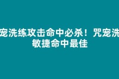 攻宠洗练攻击命中必杀！咒宠洗练敏捷命中最佳