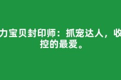 魔力宝贝封印师：抓宠达人，收集控的最爱。