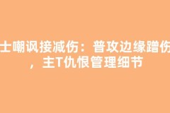 骑士嘲讽接减伤：普攻边缘蹭伤害，主T仇恨管理细节