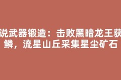 传说武器锻造：击败黑暗龙王获龙鳞，流星山丘采集星尘矿石