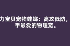 魔力宝贝宠物螳螂：高攻低防，新手最爱的物理宠。