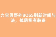魔力宝贝野外BOSS刷新时间与打法，掉落稀有装备