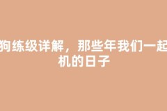 砍狗练级详解，那些年我们一起挂机的日子