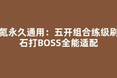 零氪永久通用：五开组合练级刷魔石打BOSS全能适配