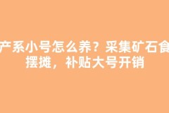 生产系小号怎么养？采集矿石食材摆摊，补贴大号开销
