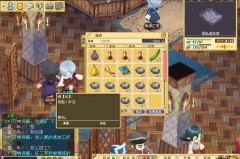 魔力宝贝私服的游戏运营与管理