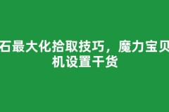 魔石最大化拾取技巧，魔力宝贝挂机设置干货