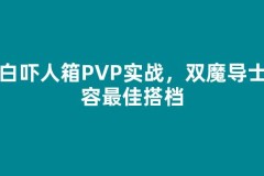 纯白吓人箱PVP实战，双魔导士阵容最佳搭档