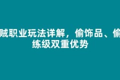 盗贼职业玩法详解，偷饰品、偷袭练级双重优势