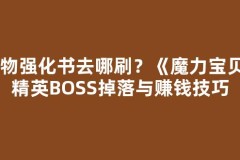宠物强化书去哪刷？《魔力宝贝》精英BOSS掉落与赚钱技巧
