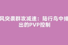 疾风突袭群攻减速：陆行鸟中排输出的PVP控制