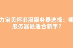 魔力宝贝怀旧服服务器选择：哪个服务器最适合新手？