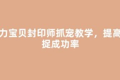 魔力宝贝封印师抓宠教学，提高捕捉成功率